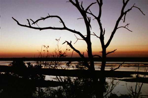 African sunset