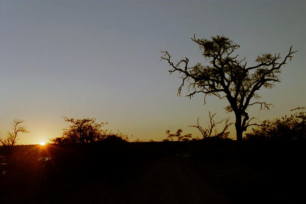 African sunset